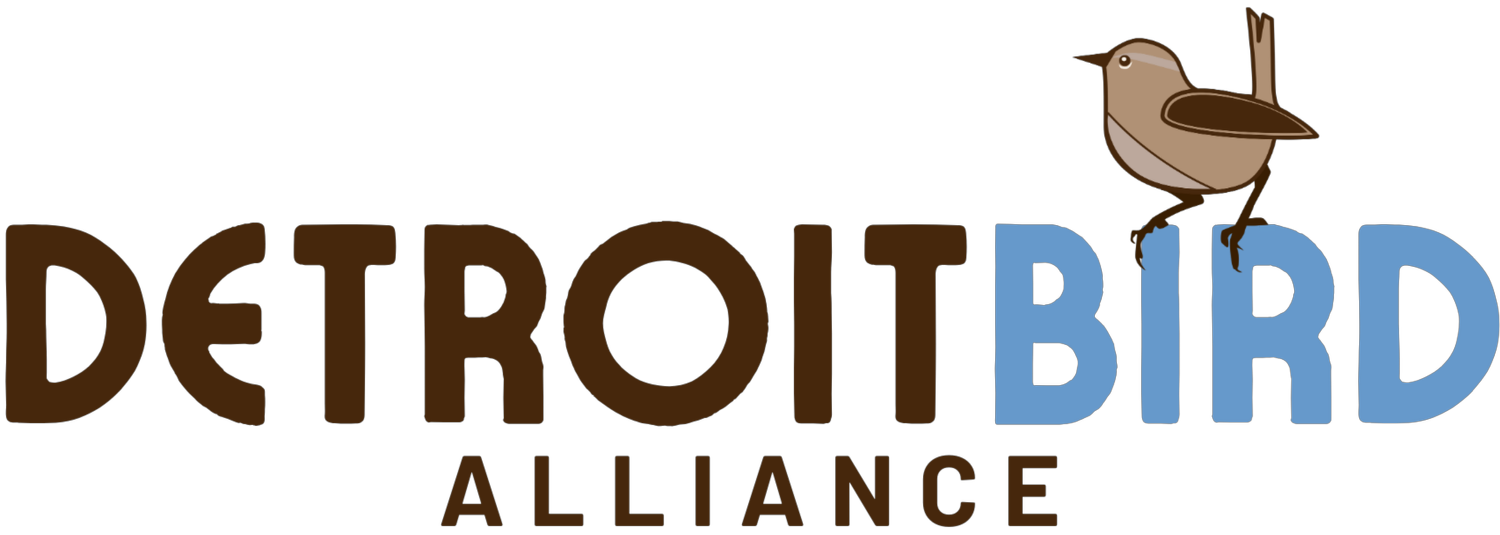 detroit-bird-alliance